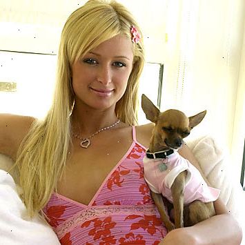 Hur att inspireras av Paris Hilton. Du kanske vill bli en blondin!